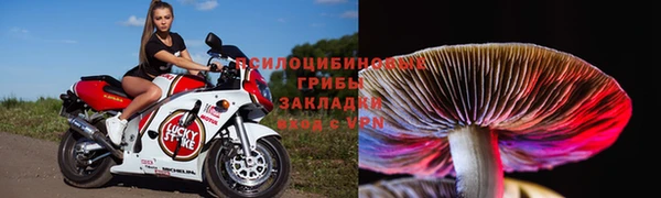 мяу мяу мука Ростов