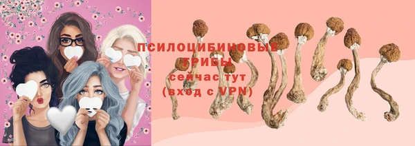 мяу мяу мука Ростов