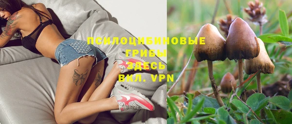 jwh Россошь