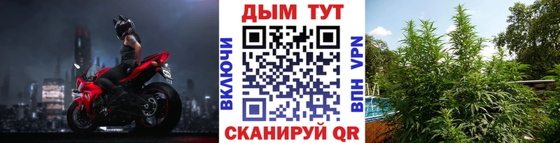 kraken как зайти  Спас-Клепики  Бошки марихуана ГИДРОПОН 